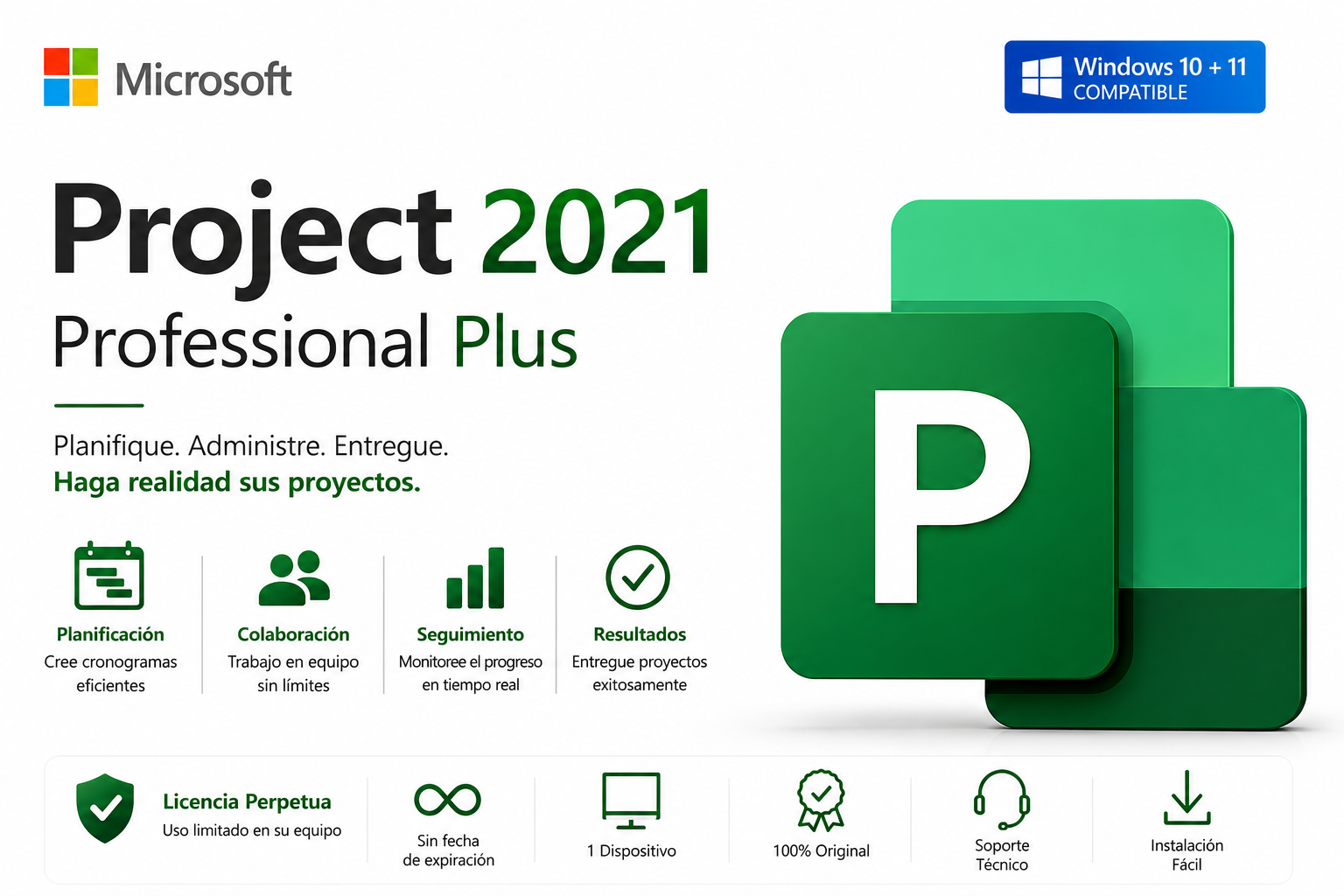 Project 2021 Professional Plus