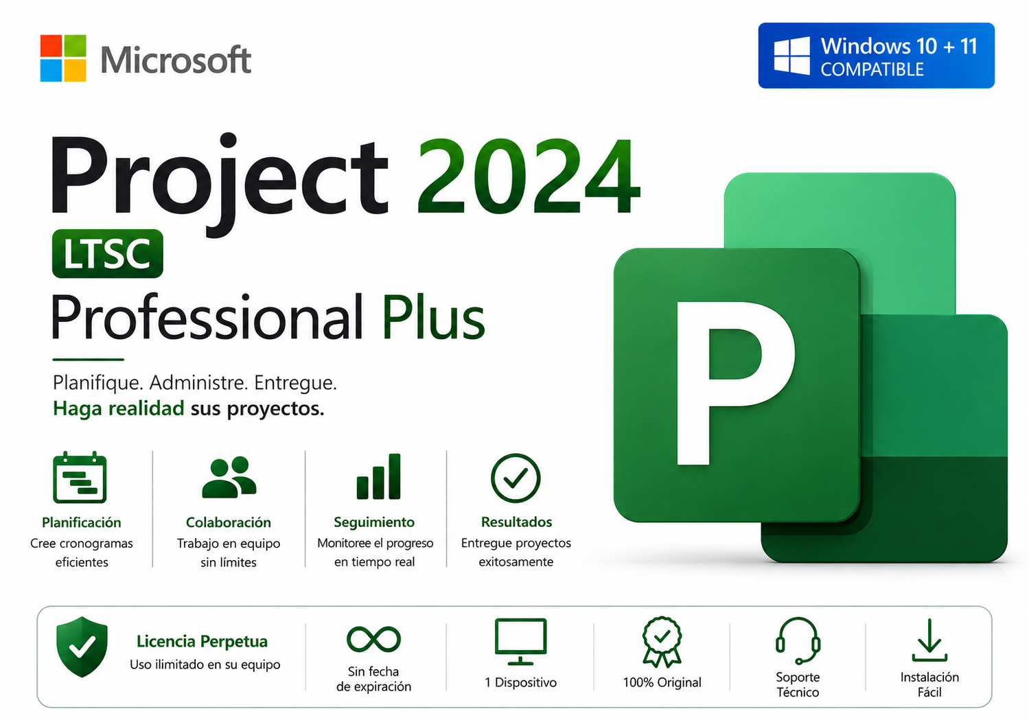 Project 2024 LTSC Professional Plus