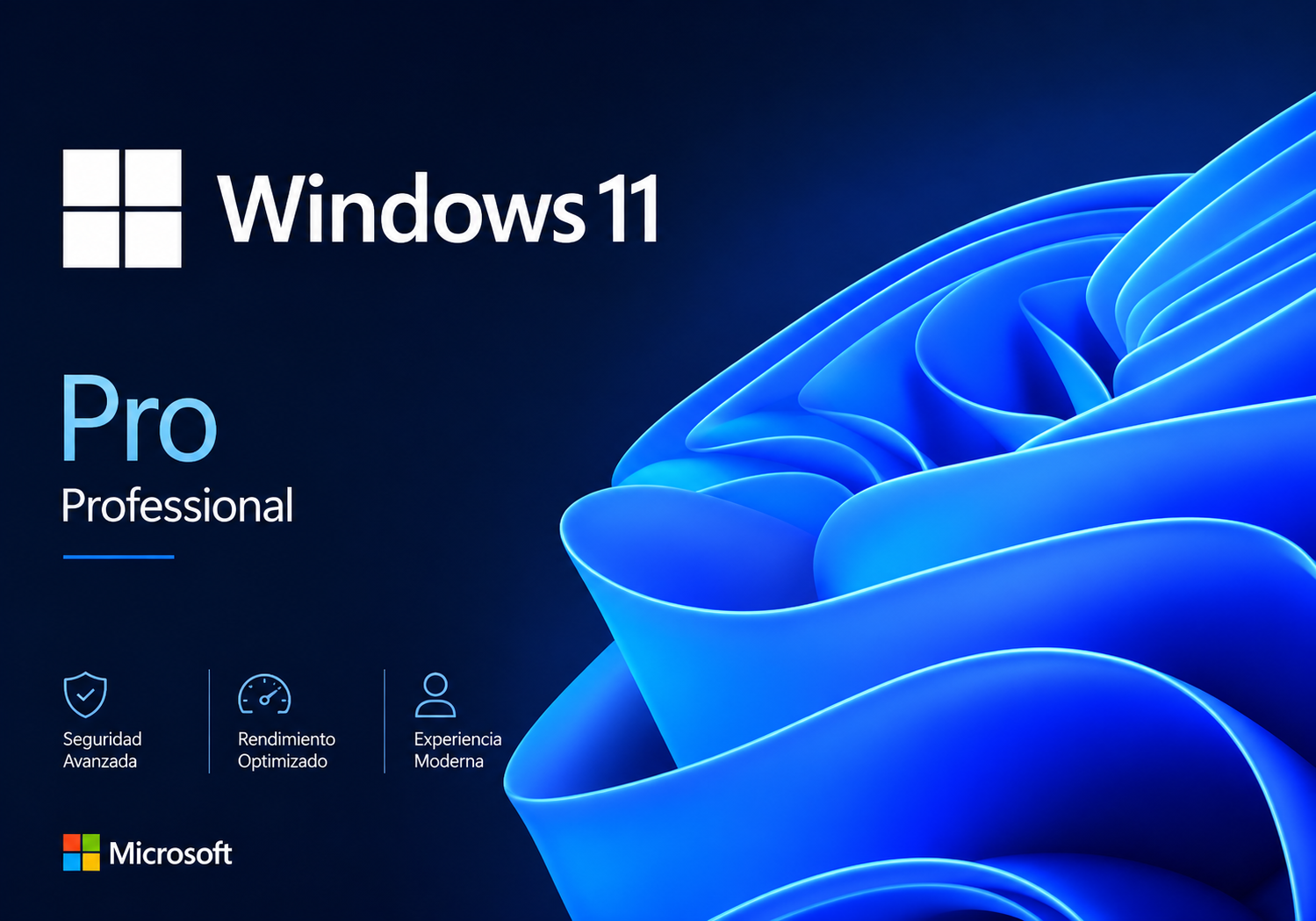 Windows 11 Proffesional
